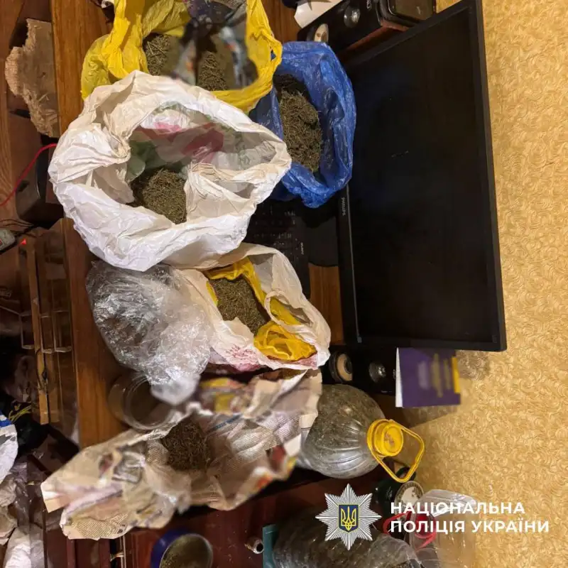 У Лозовій чоловік зберігав наркотики: поліція провела обшук і відкрила справу