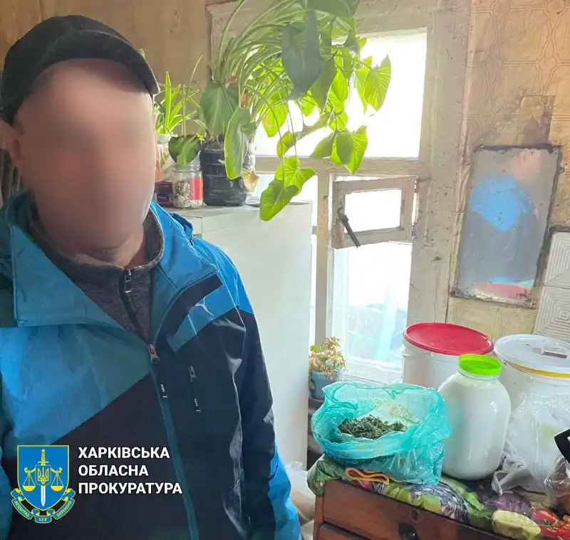 У Харкові судитимуть двох чоловіків, які налагодили збут канабісу гуртовими партіями