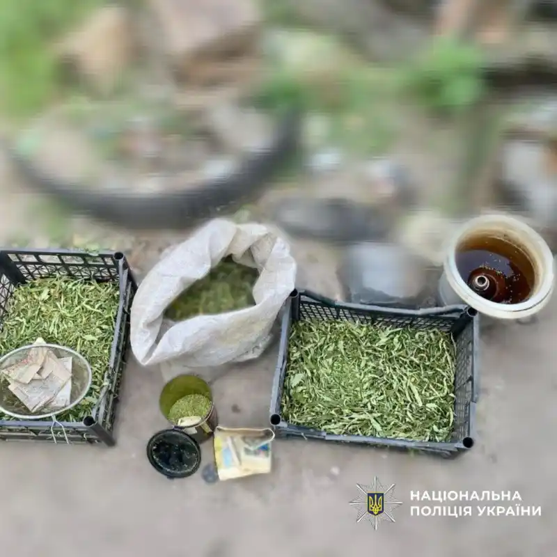 На Харківщині затримали двох ізюмчан за торгівлю канабісом