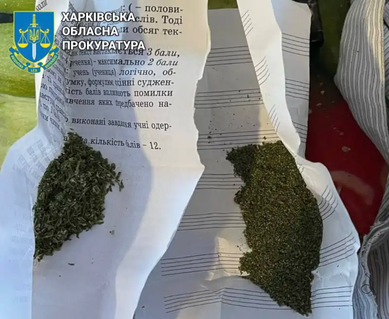 У Харкові судитимуть двох чоловіків, які налагодили збут канабісу гуртовими партіями