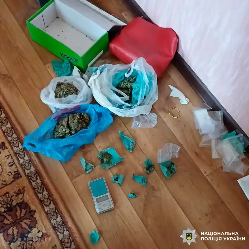 У Харкові викрили підпільну теплицю з канабісом: вилучено наркотиків на понад 1,6 млн грн