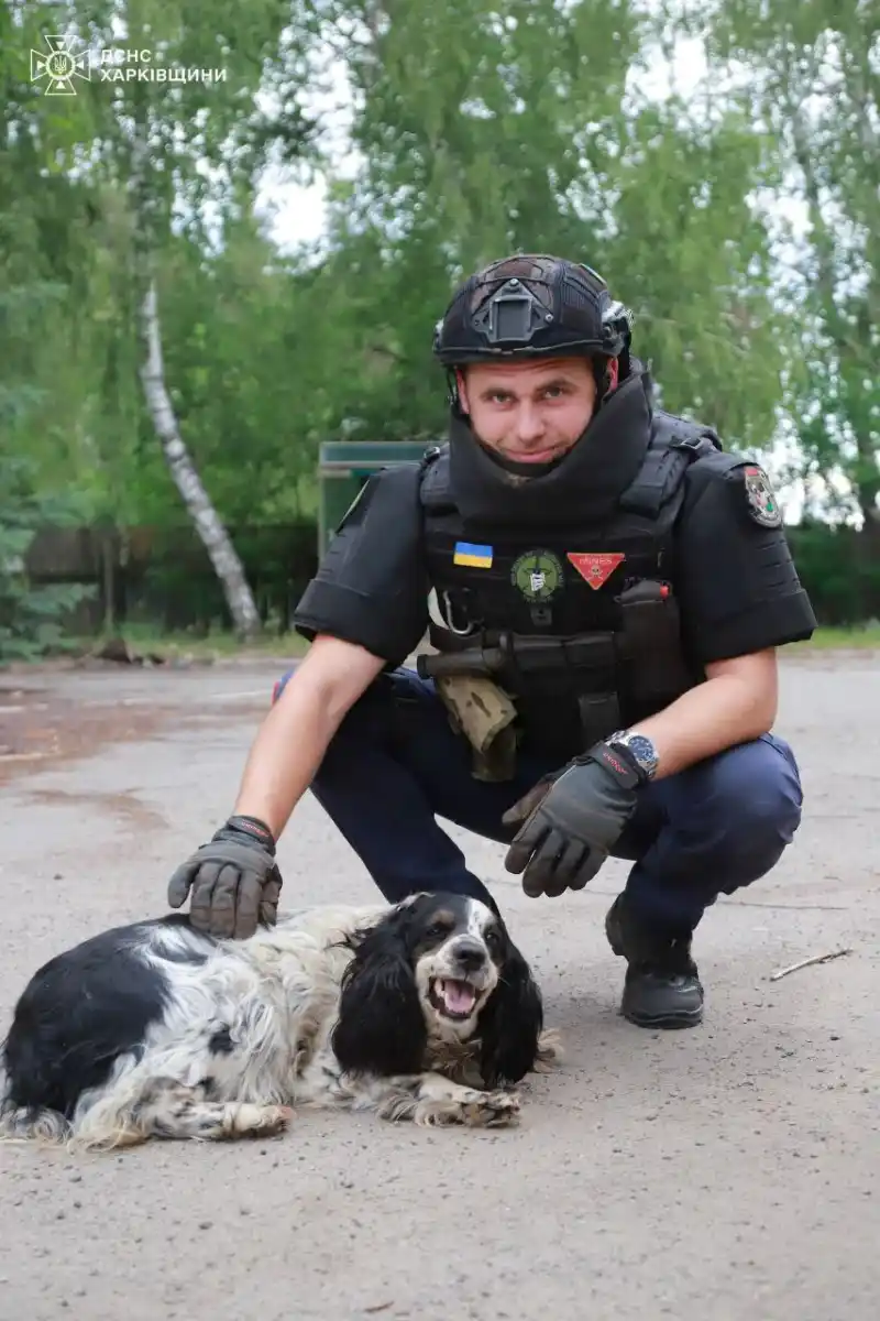 У Боровій сапери знищили небезпечні боєприпаси