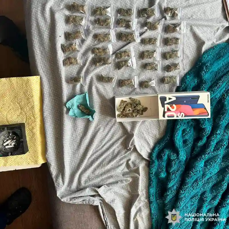 У Харкові викрили підпільну теплицю з канабісом: вилучено наркотиків на понад 1,6 млн грн